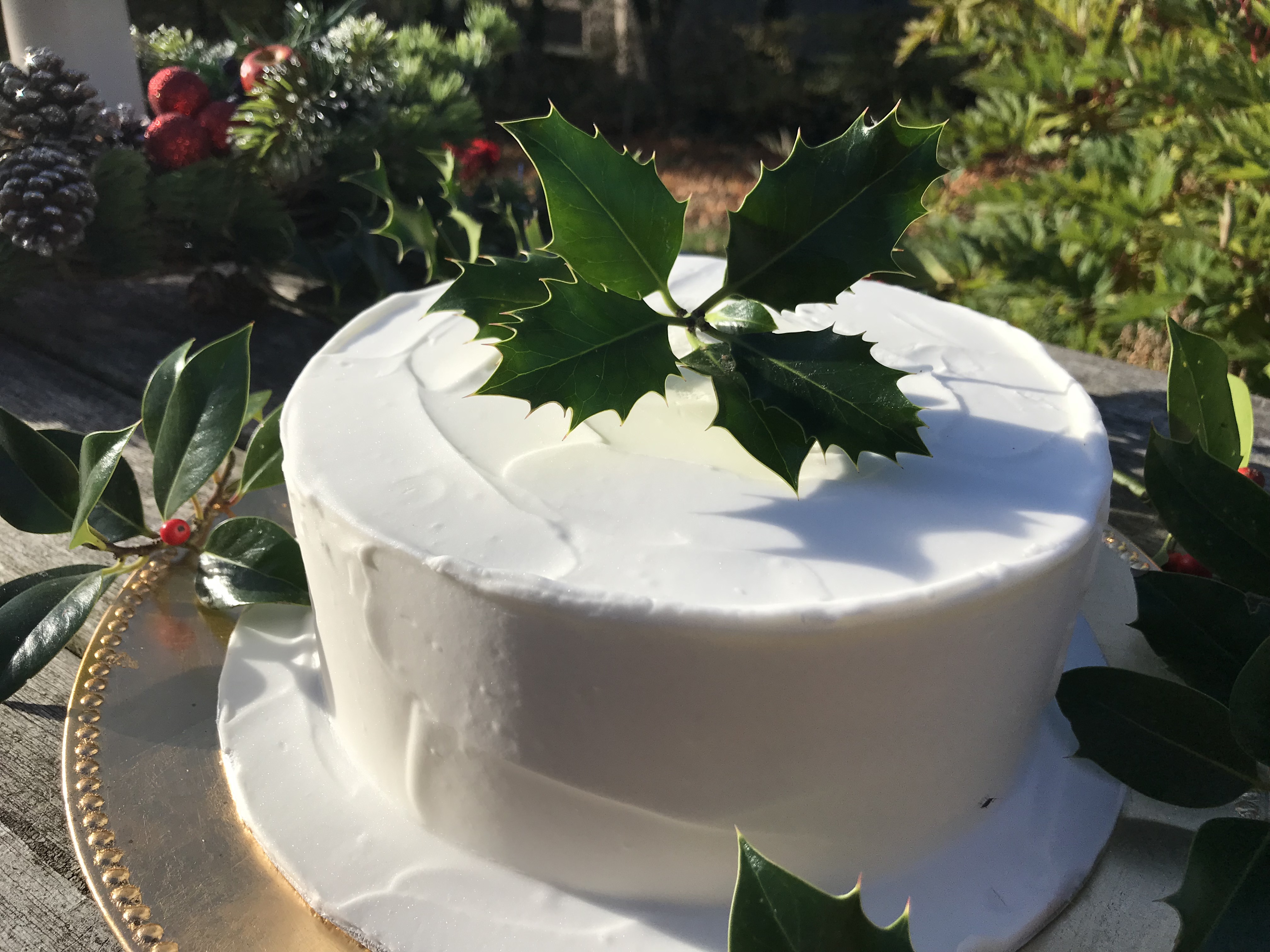 Silla Keyser Iced Rich Fruit Christmas Cake