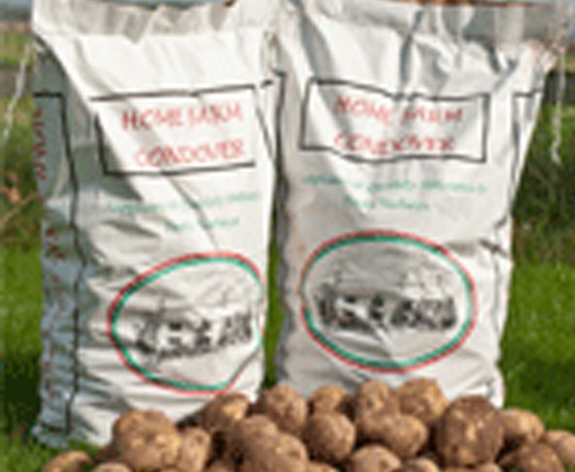 WILJA POTATOES 25kg